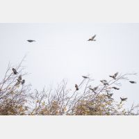 5405 x 3603 Px   _RM_201030_D4_9774.jpg