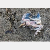 5472 x 3648_Px _RM_150416_MG_3796.jpg