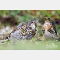 5526 x 3700_Px _RM_120517_MG_8010_b.jpg