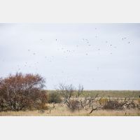 6313 x 4208 Px   _RM_201030_D4_9731.jpg