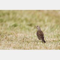 4116 x 2744_Px _RM_120517_MG_8133.jpg