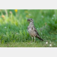 4135 x 2756_Px _RM_110422_MG_1668_b.jpg