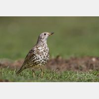 4639 x 3093_Px _RM_140219_MG_8462.jpg