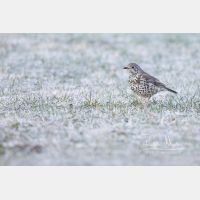 4742 x 3161 Px   _RM_190412_D4_9788.jpg