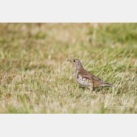 4748 x 3165_Px _RM_120517_MG_8136.jpg