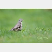 4820 x 3213 Px   _RM_190512_D2_5791.jpg