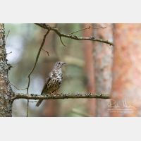 4942 x 3295_Px _RM_140426_MG_0319.jpg