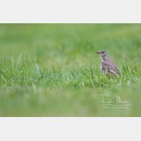 5050 x 3367 Px   _RM_190512_D2_5785.jpg