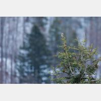 5171 x 3447 Px   _RM_190326_D4_2900.jpg