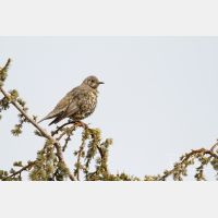 5184 x 3456_Px _RM_140218_MG_1905.jpg