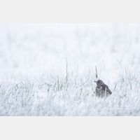 5366 x 3577_Px _RM_160428_MG_6442.jpg