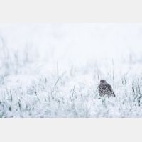 5368 x 3578_Px _RM_160428_MG_6437.jpg