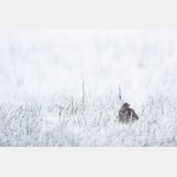 5472 x 3648_Px _RM_160428_MG_6443.jpg