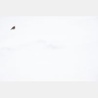 6327 x 4218 Px   _RM_190326_D4_2898.jpg