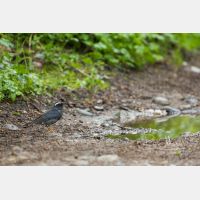 5544 x 3696 Px   _RM_190603_D4_4051.jpg