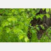 5575 x 3717 Px   _RM_190603_D4_4058.jpg