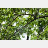 5741 x 3828 Px   _RM_190603_D4_4140.jpg