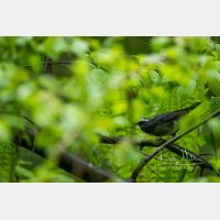 5752 x 3835 Px   _RM_190603_D4_4181.jpg