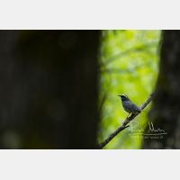 6002 x 4001 Px   _RM_190603_D4_4101.jpg