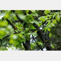 6231 x 4154 Px   _RM_190603_D4_4124.jpg