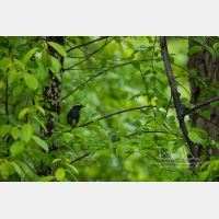 6720 x 4480 Px   _RM_190603_D4_4065.jpg