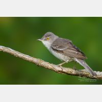 4313 x 2876_Px _RM_120531_MG_2333_b.jpg