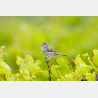 4453 x 2969_Px _RM_120531_MG_2660.jpg