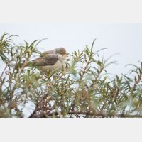 4841 x 3227 Px   _RM_181030__D3_1555.jpg