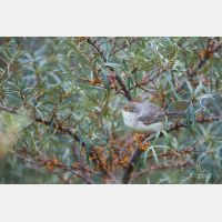 5110 x 3407 Px   _RM_181030__D3_1392.jpg