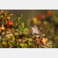 3281 x 2188_Px _RM_100922_MG_9458.jpg