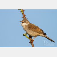 4013 x 2676_Px _RM_120417_MG_1345.jpg