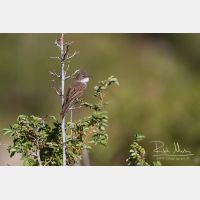 4179 x 2786_Px _RM_140519_MG_2714.jpg