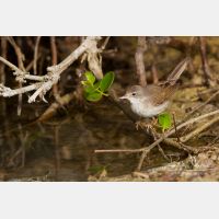 4247 x 2832_Px _RM_141113_MG_2506.jpg