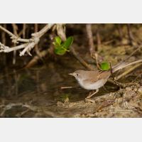 4441 x 2961_Px _RM_141113_MG_2514.jpg