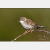 4680 x 3120_Px _RM_120417_MG_1650_b.jpg