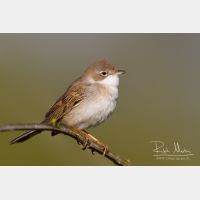 4700 x 3133_Px _RM_120417_MG_1640_b.jpg