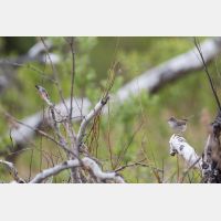 5472 x 3648 _Px_RM_170604_MG_2240.jpg