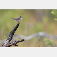 5472 x 3648 _Px_RM_170604_MG_2249.jpg