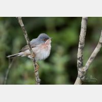 4966 x 3311 Px   _RM_190427_D2_3127.jpg