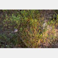 5472 x 3648 Px   _RM_190427_D2_3047.jpg