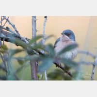 5472 x 3648 Px   _RM_190427_D2_3215.jpg