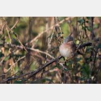 5472 x 3648 Px   _RM_190427_D2_3241.jpg