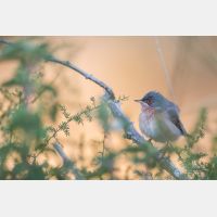 5472 x 3648 Px   _RM_190427_D2_3245.jpg