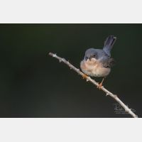 5472 x 3648 Px   _RM_190427_D2_3285.jpg