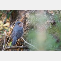 5472 x 3648 Px   _RM_190427_D2_3290.jpg