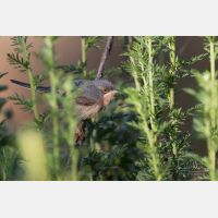 5472 x 3648 Px   _RM_190427_D2_3303.jpg