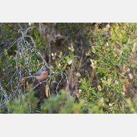 5472 x 3648 Px   _RM_190427_D2_3331.jpg