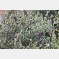 3186 x 2124_Px _RM_090825_MG_2542.jpg