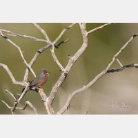 5472 x 3648 _Px_RM_180401__D2_7295.jpg