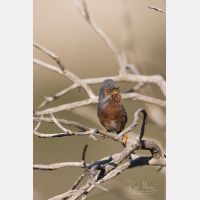 5472 x 3648 _Px_RM_180401__D2_7399.jpg